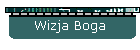 Wizja Boga